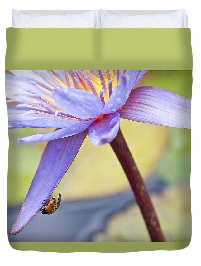Ladybug Duvet Cover featuring the photograph A Visiting Lady by Priya Ghose