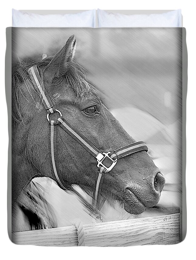 Horse Duvet Cover featuring the photograph A Waiting Horse by Eleanor Abramson