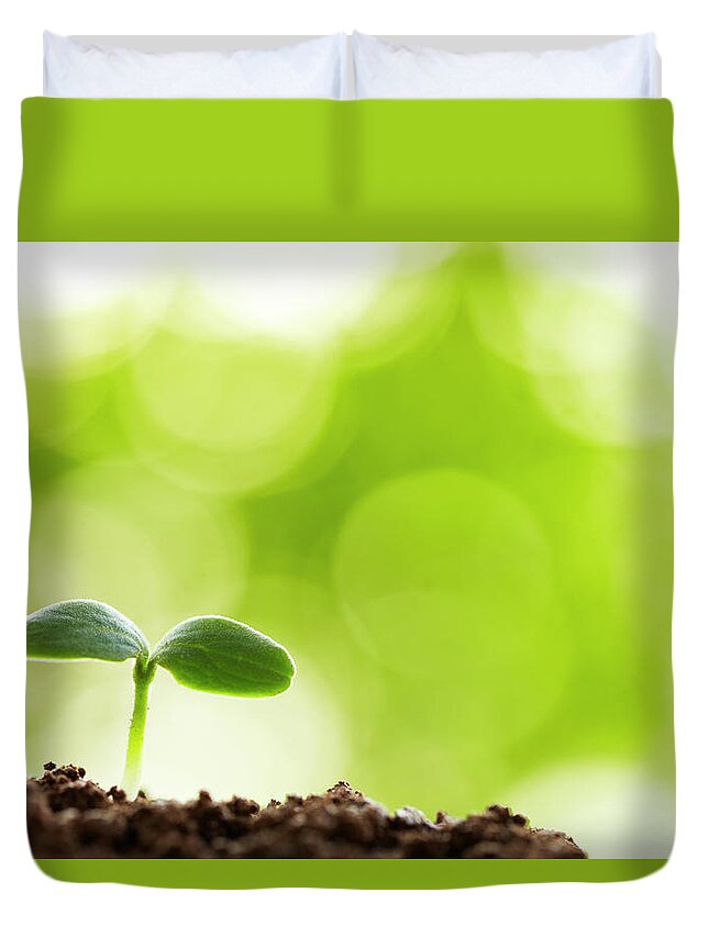 Environmental Conservation Duvet Cover featuring the photograph A Young Seedling Sprouting From The by Bo1982