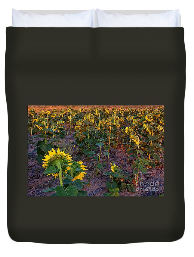 Flowers Duvet Cover featuring the photograph About Face by Jim Garrison