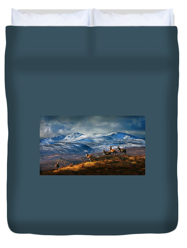 Stags Duvet Cover featuring the photograph Above Strathglass by Gavin Macrae