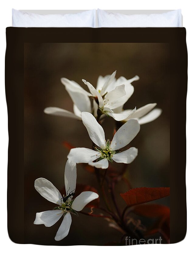 Ant Duvet Cover featuring the photograph Above The Coppery-Red by Linda Shafer