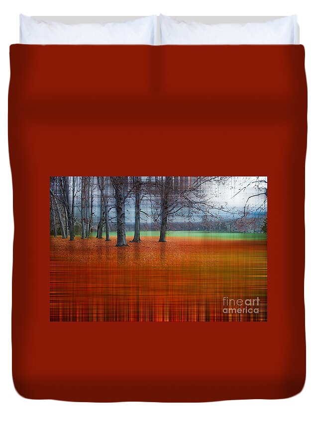 Abstract Duvet Cover featuring the photograph abstract atumn II by Hannes Cmarits