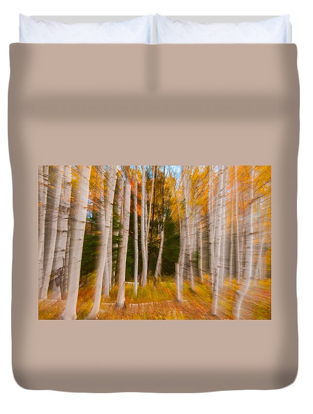New England Duvet Cover featuring the photograph Abstract Autumn Birches by Brenda Jacobs