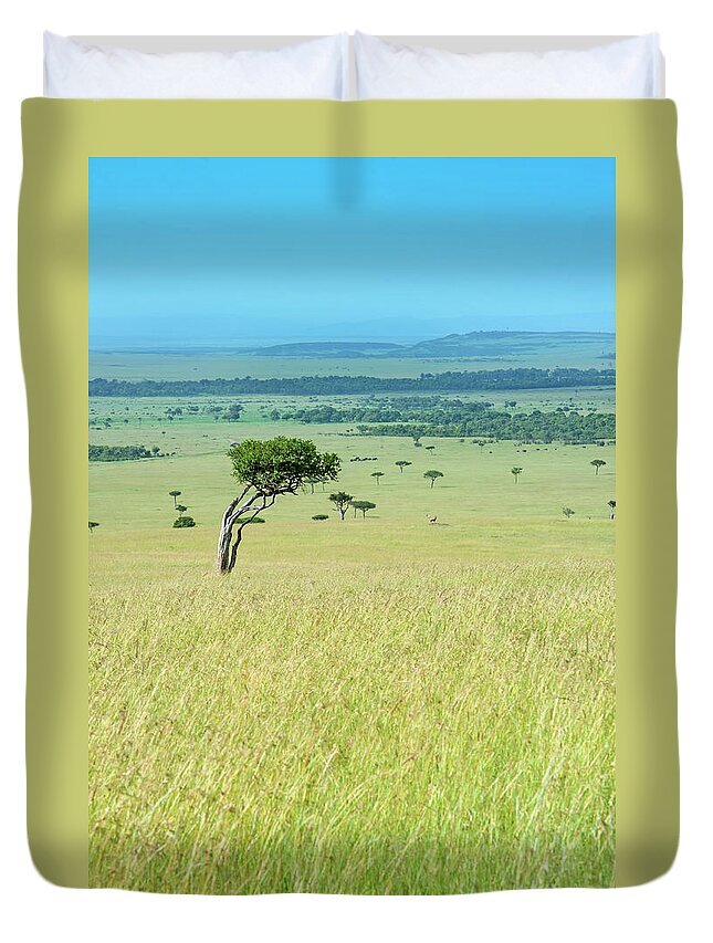 Scenics Duvet Cover featuring the photograph Acacia In The Green Plains Of Masai Mara by Guenterguni