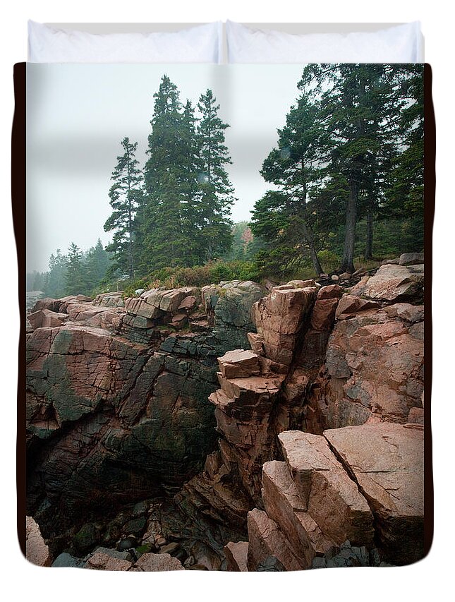 Landscape Duvet Cover featuring the photograph Acadia Fog near Monument Cove 4336 by Brent L Ander