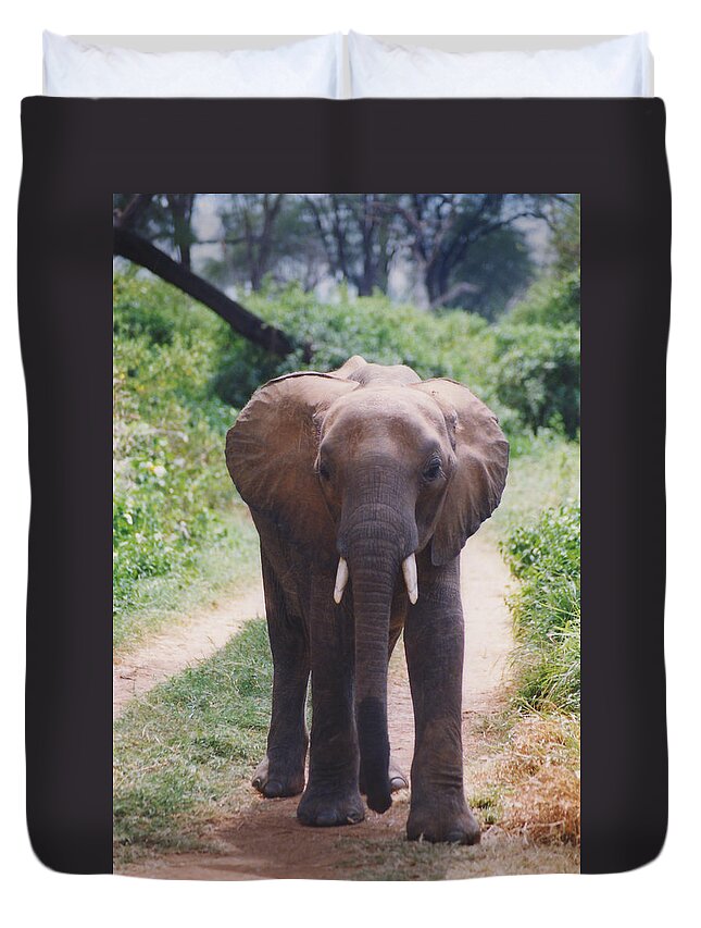 Art Duvet Cover featuring the photograph Adolescent Elephant by Belinda Greb