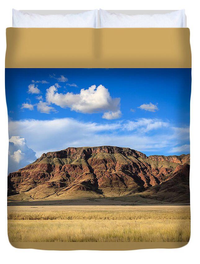 110325 Sossusvlei Vacation Duvet Cover featuring the photograph Aferican Grass and Mountain in Sossusvlei by Gregory Daley MPSA