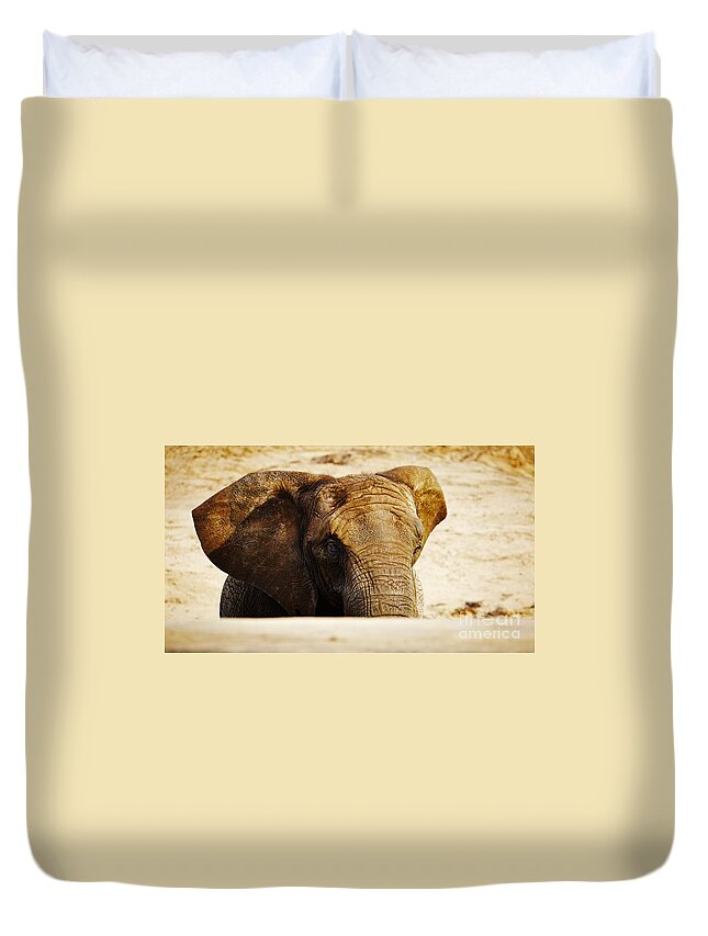 Africa Duvet Cover featuring the photograph African Elephant behind a hill by Nick Biemans