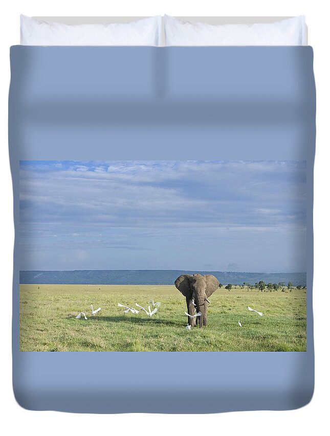 Flpa Duvet Cover featuring the photograph African Elephant Bull And Cattle Egrets by Elliott Neep