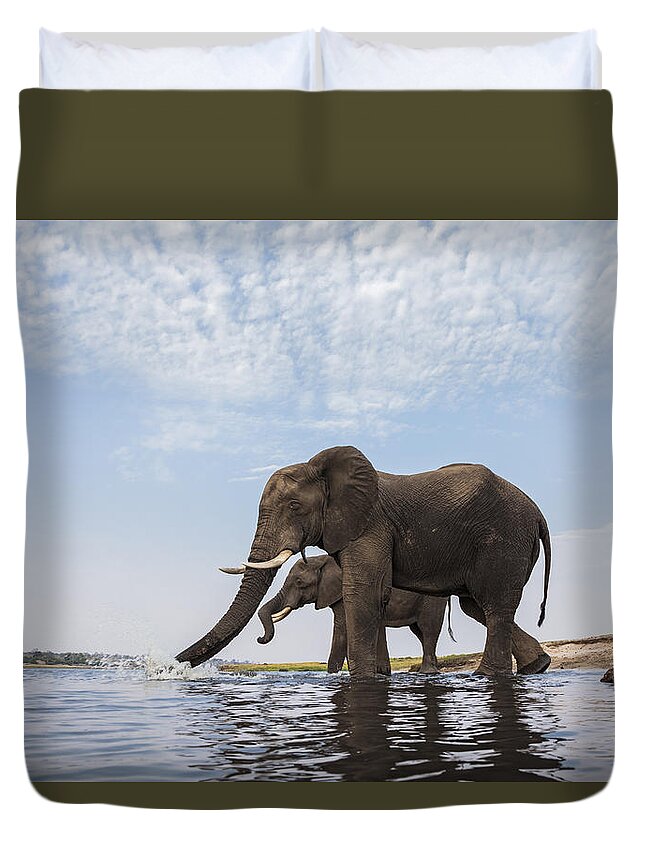 Vincent Grafhorst Duvet Cover featuring the photograph African Elephant Bulls Drinking Botswana by Vincent Grafhorst