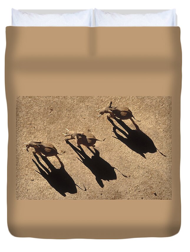 00173360 Duvet Cover featuring the photograph African Elephant Shadows by Tim Fitzharris
