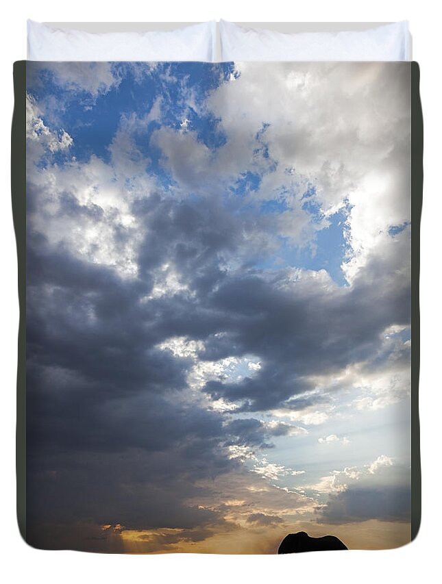 Vincent Grafhorst Duvet Cover featuring the photograph African Elephants At Sunset Botswana by Vincent Grafhorst