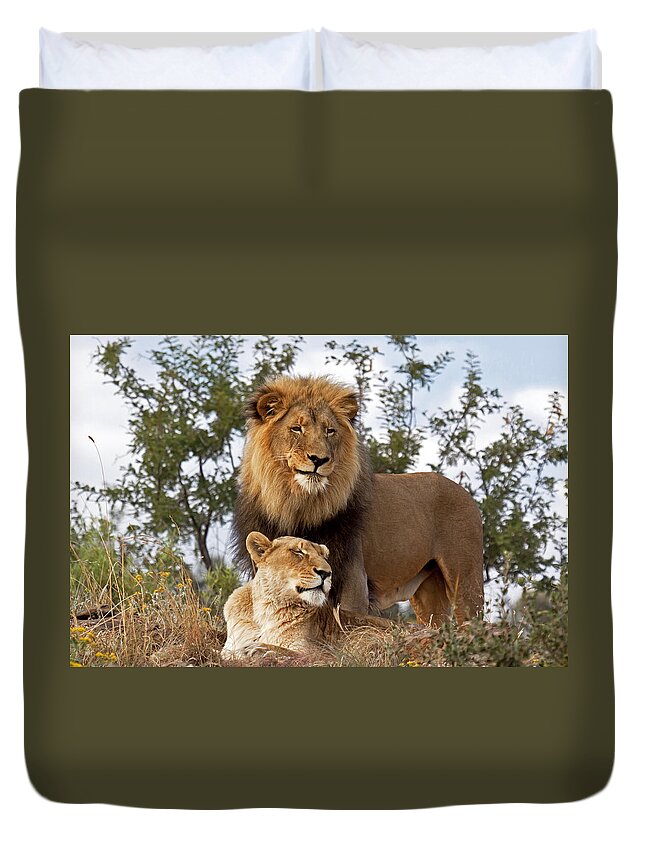 Nis Duvet Cover featuring the photograph African Lion And Lioness Botswana by Erik Joosten