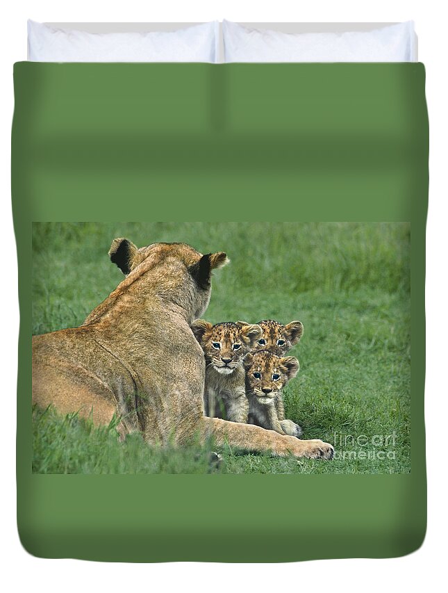 Africa Duvet Cover featuring the photograph African Lion Cubs Study the Photographer Tanzania by Dave Welling