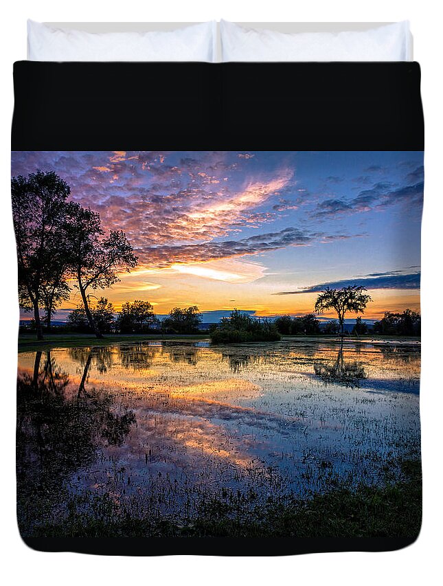 Rain Duvet Cover featuring the photograph After The Rains by Mary Amerman