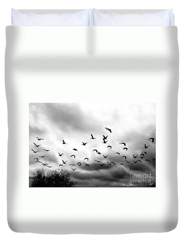 Storm Duvet Cover featuring the photograph Ahead of the Storm by Alana Ranney
