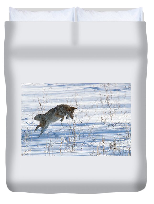 Blurred Duvet Cover featuring the photograph Airborne Hunter by Jim Garrison