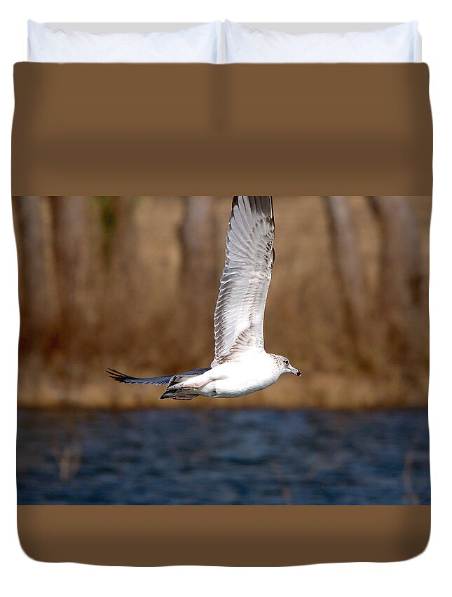 Roy Williams Duvet Cover featuring the photograph Airborne Seagull Series 2 by Roy Williams