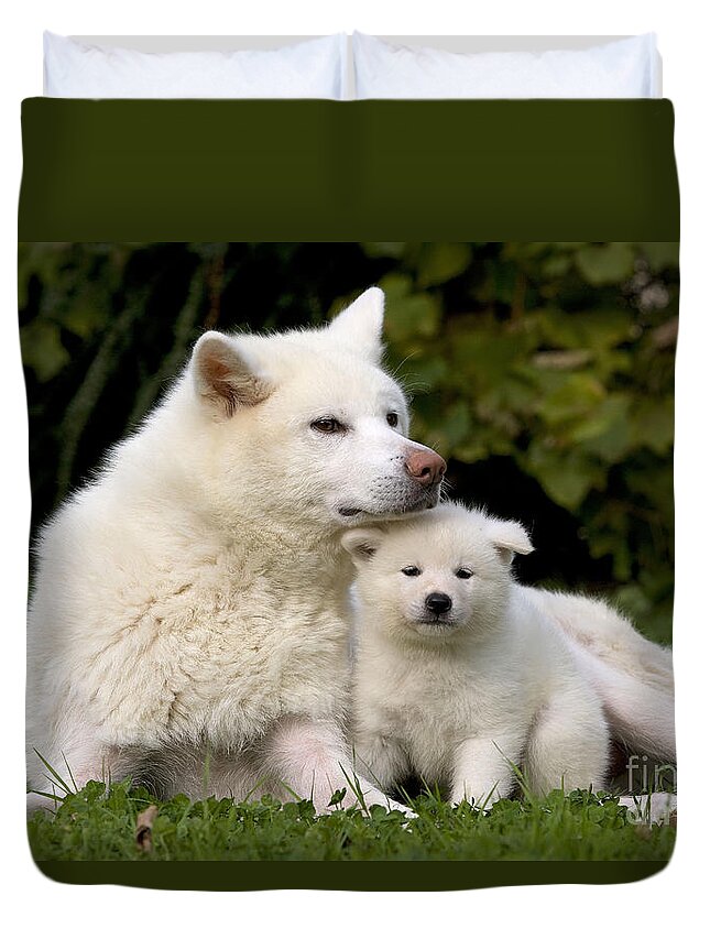 Dog Duvet Cover featuring the photograph Akita Inu Dog And Puppy by Jean-Michel Labat