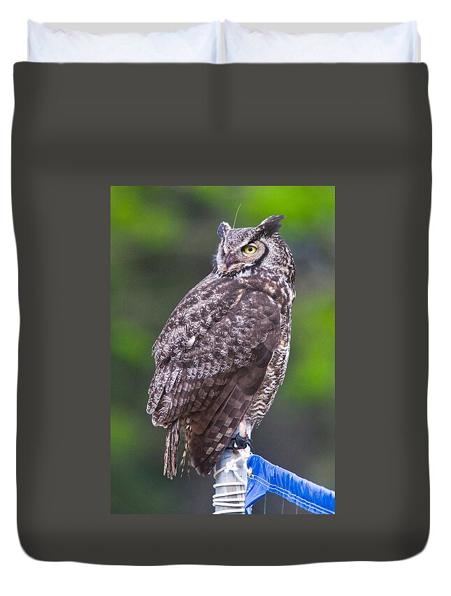 Wildlife Duvet Cover featuring the digital art Alaskan Owl by National Park Service