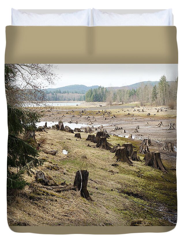 Wall Art Duvet Cover featuring the photograph Alder Lake by Ron Roberts
