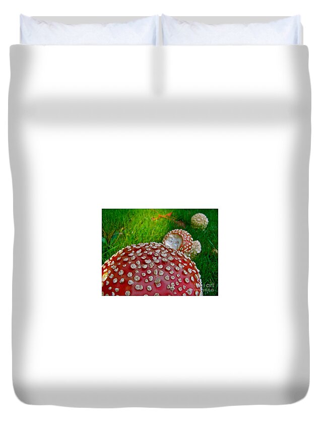 Alice In Wonderland Duvet Cover featuring the photograph Alice's Shrooms by LeLa Becker