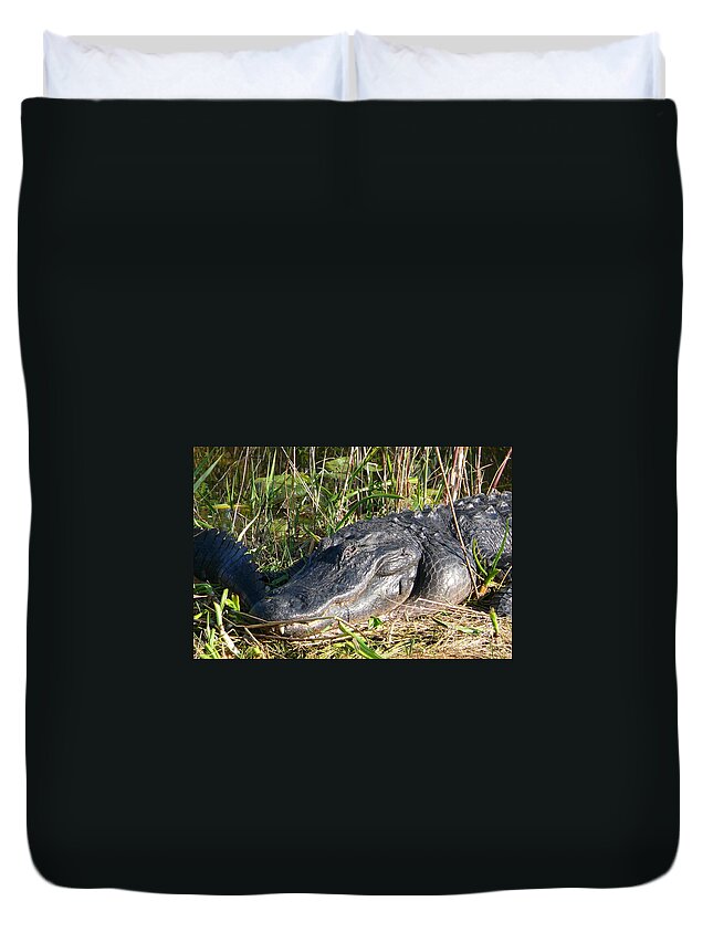 Alligator Duvet Cover featuring the photograph Alligator by Amanda Mohler