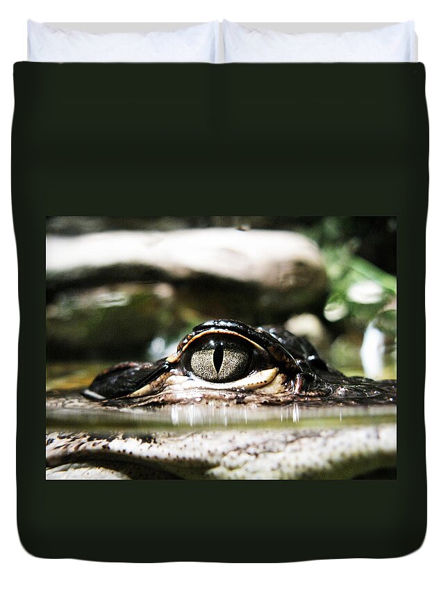 Alligator Duvet Cover featuring the photograph Alligator Eye by Randi Kuhne