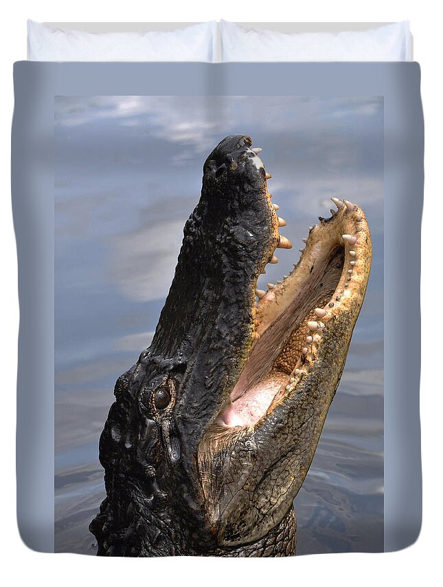 Alligator Duvet Cover featuring the photograph Alligator Head by Mary Beth Angelo