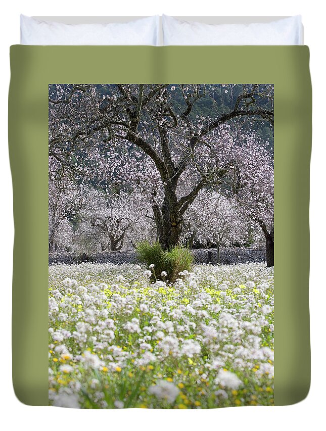 Non-urban Scene Duvet Cover featuring the photograph Almond Tree In Blossom, Near Randa by Holger Leue