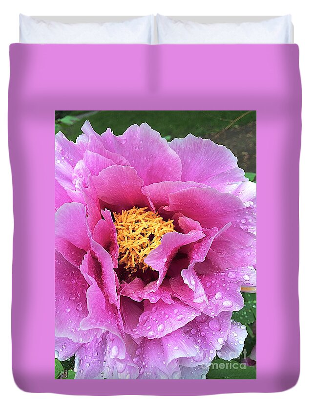 Anemone Duvet Cover featuring the photograph Along Orchard by Joseph Yarbrough