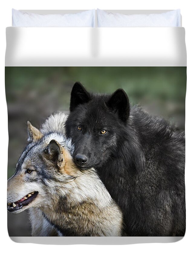 Alpha Couple Duvet Cover featuring the photograph Alpha Couple by Wes and Dotty Weber