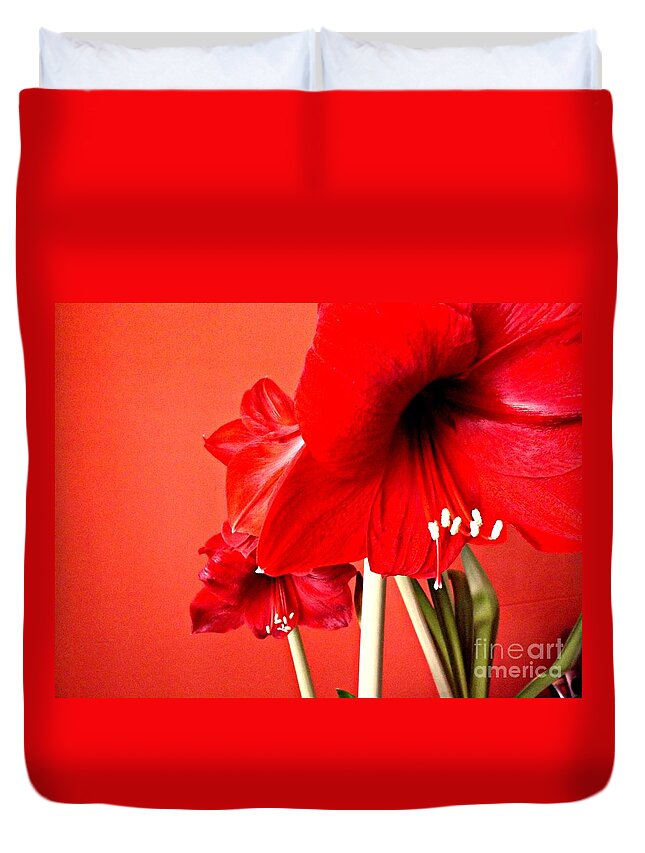 Amaryllis Duvet Cover featuring the photograph Amaryllis by Clare Bevan
