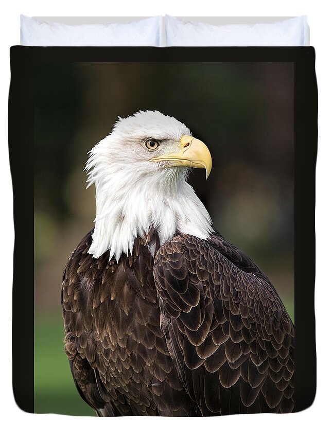 Bald Eagle Duvet Cover featuring the photograph American Bald Eagle by Dale Kincaid