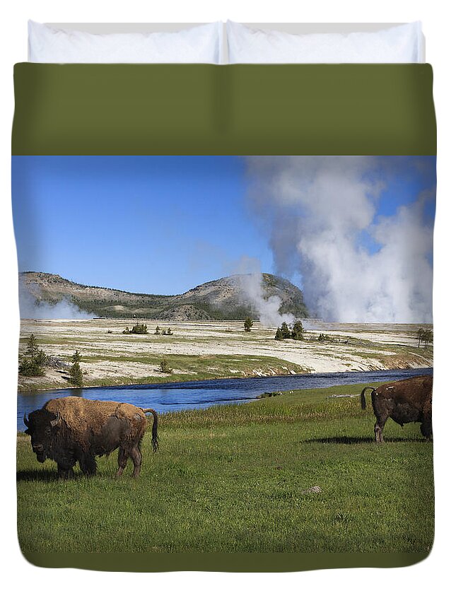 530445 Duvet Cover featuring the photograph American Bison Grazing Along Firehole by Duncan Usher