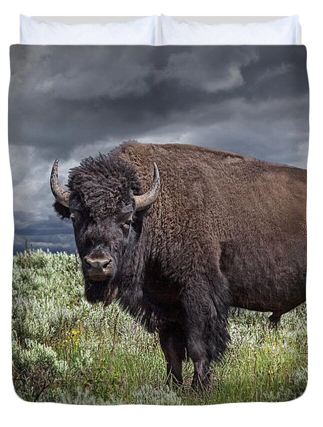 Bison Duvet Cover featuring the photograph American Buffalo or Bison in Yellowstone by Randall Nyhof