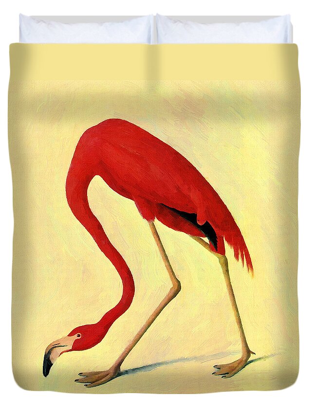 Audubon Duvet Cover featuring the painting American Flamingo by Audubon