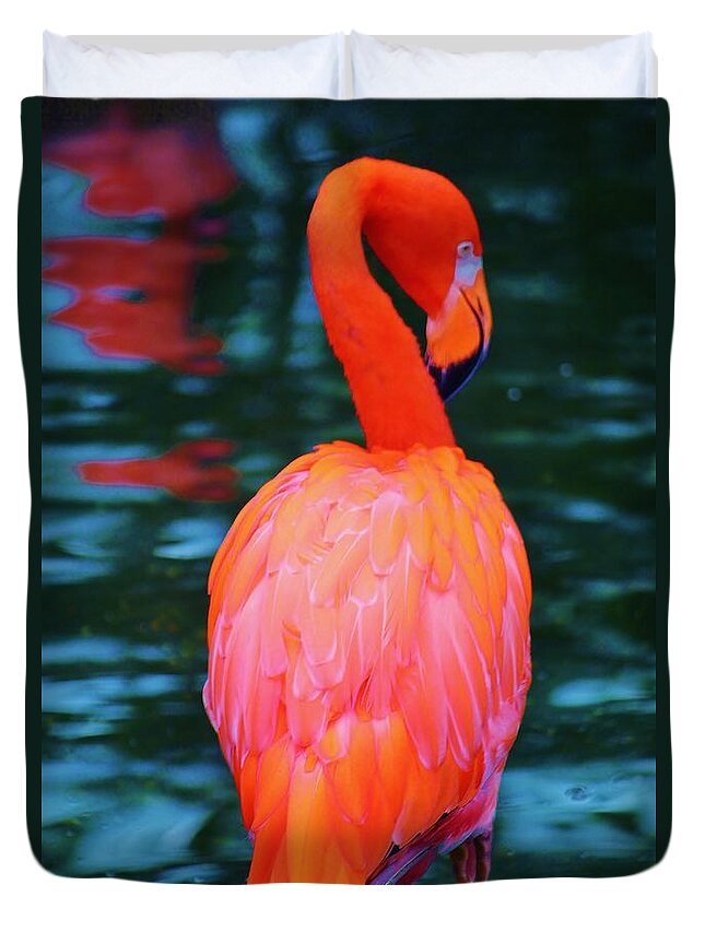 Flamingo Duvet Cover featuring the photograph American Flamingo In Blue by William Rockwell