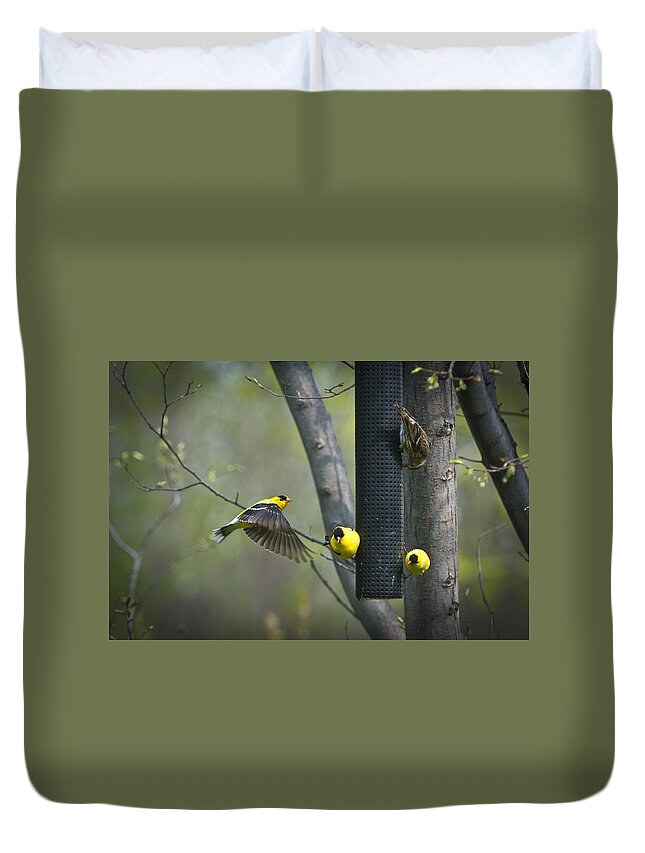 American Duvet Cover featuring the photograph American Goldfinch by Bill Cubitt