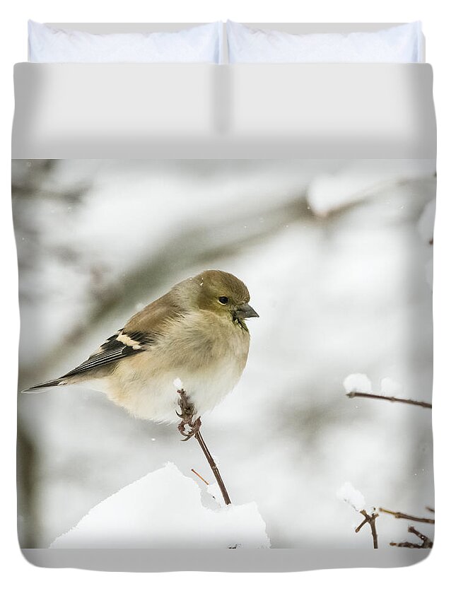 Jan Holden Duvet Cover featuring the photograph American Goldfinch Up Close by Holden The Moment