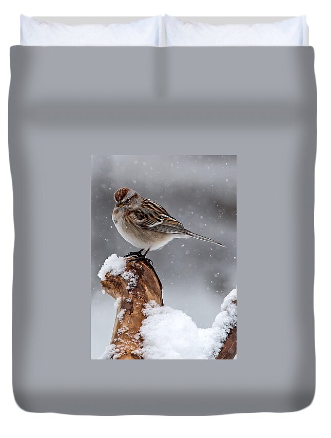 American Tree Sparrow Duvet Cover featuring the photograph American Tree Sparrow in Snow by Dawn Key