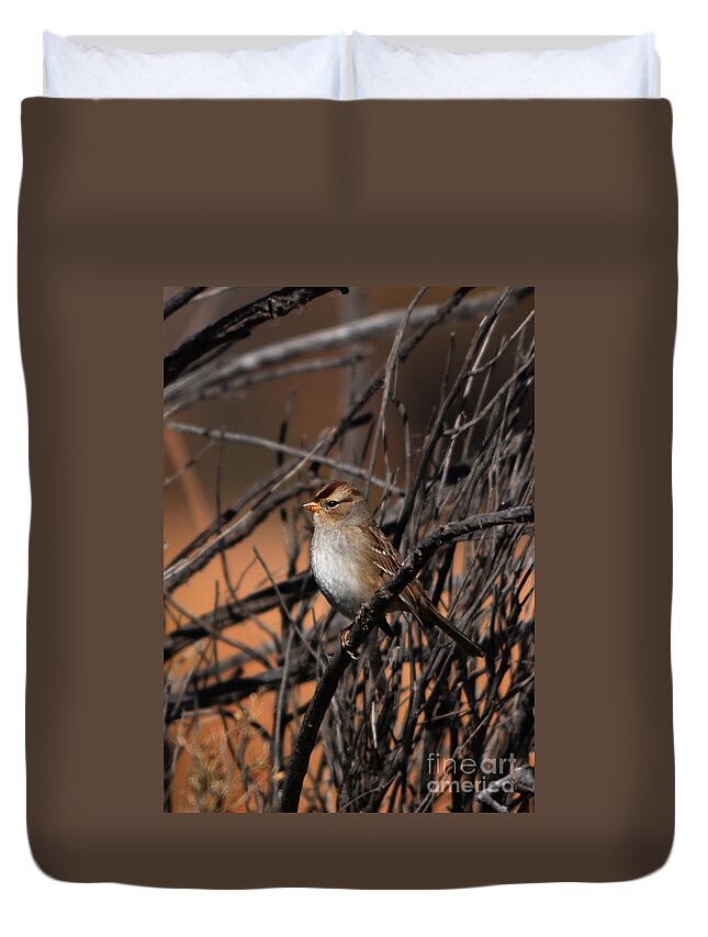 American Tree Sparrow Duvet Cover featuring the photograph American Tree Sparrow by John Greco