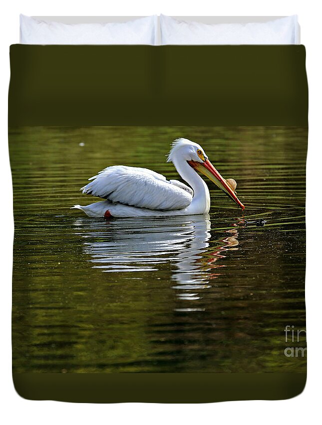 American White Pelican Duvet Cover featuring the photograph American White Pelican by Elizabeth Winter