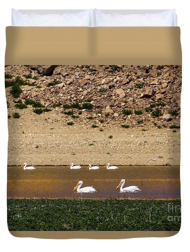 Birds Duvet Cover featuring the photograph American White Pelicans by Robert Bales