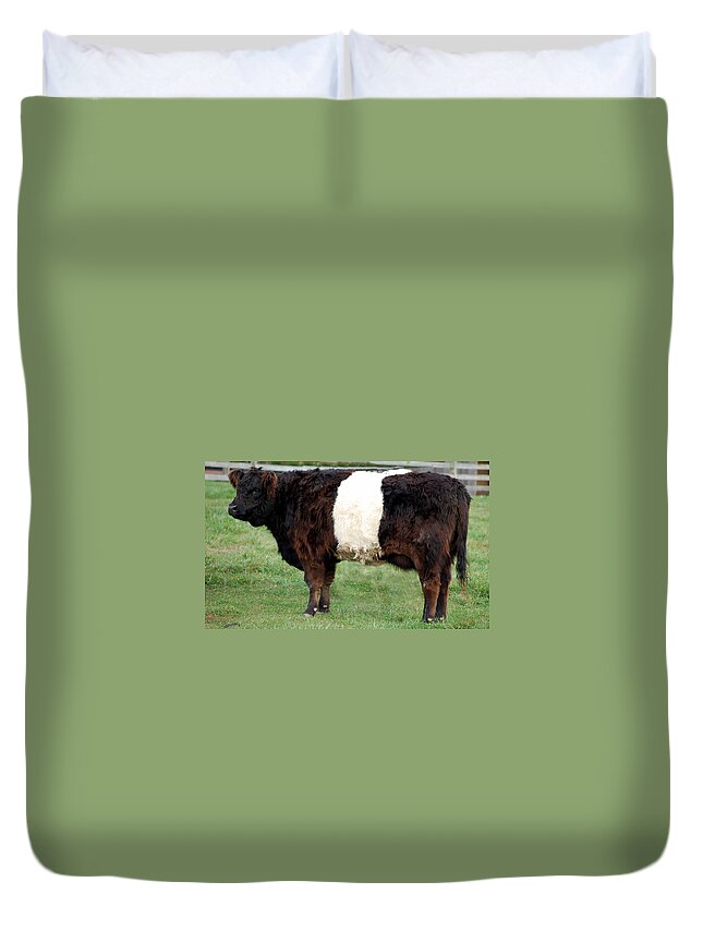 Galloway Duvet Cover featuring the photograph Ancient Breed Belted Galloway by Richard Ortolano