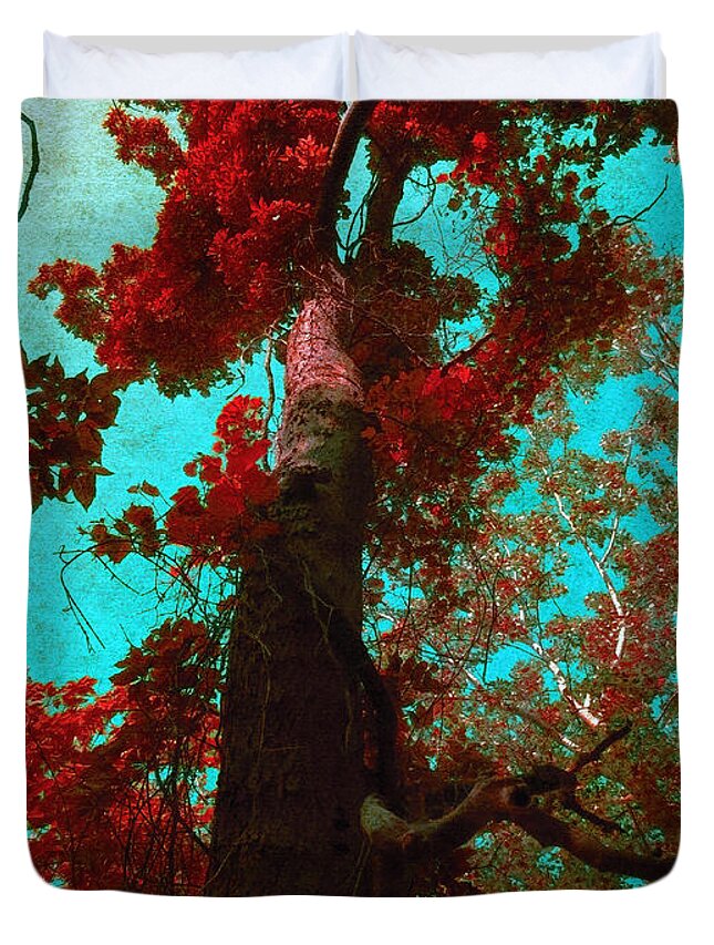 Tree Duvet Cover featuring the photograph Ancient One by Shawna Rowe
