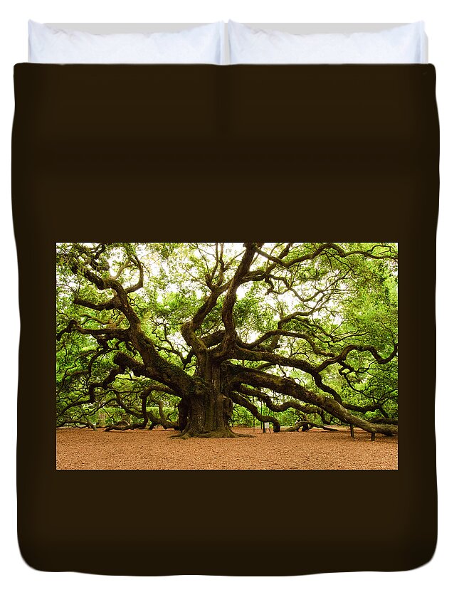 Tree Duvet Cover featuring the photograph Angel Oak Tree 2009 by Louis Dallara