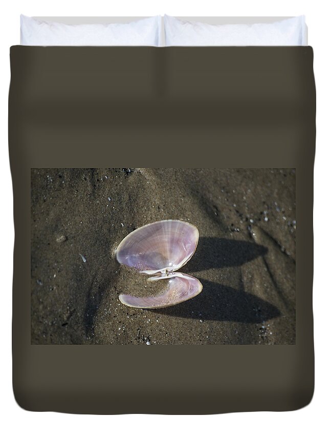 Sea Shell Duvet Cover featuring the photograph Angel Wings by Spikey Mouse Photography