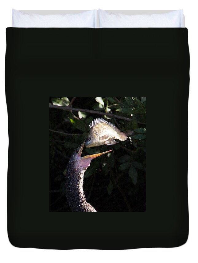 Anhinga Duvet Cover featuring the photograph Anhinga Catch by Richard Goldman